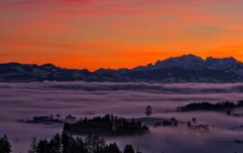 Combing hair 10 tips for proper hair combing